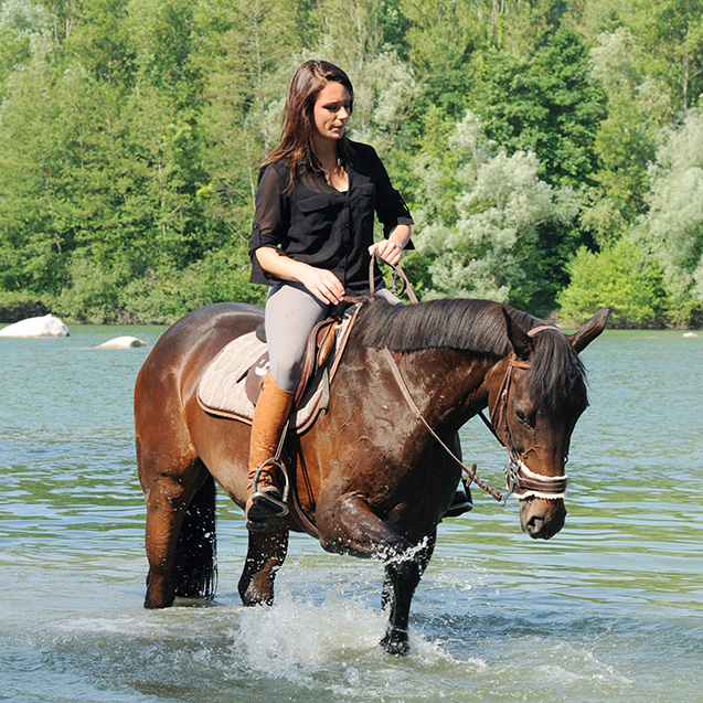 Promenade à cheval : activités autour du Domaine L’Écrin Vert – Camping dans la vallée du Tarn
