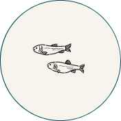 Icone pêche en rivière