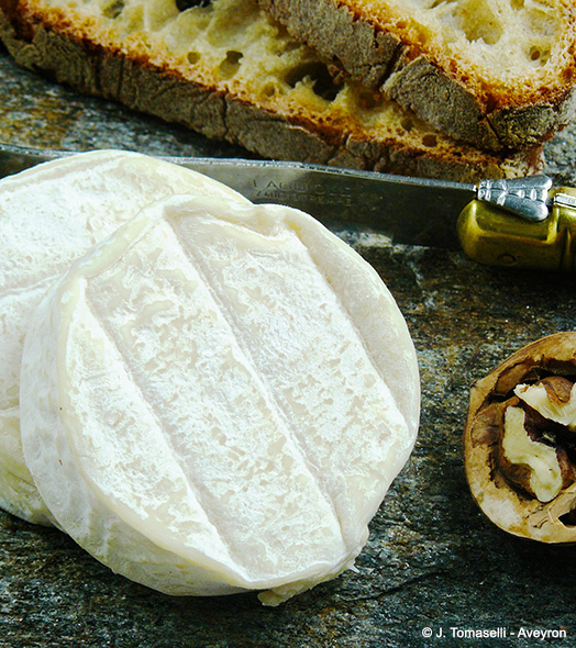 Le Cabécous de l'Aveyron servi à la Brasserie du Domaine de Lincou, restaurant du Domaine L’Écrin Vert, camping